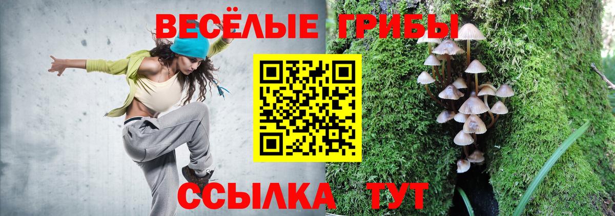 Ревда  Псилоцибиновые грибы прущие грибы  Вход с VPN  Галлюциногенные грибы Cubensis 